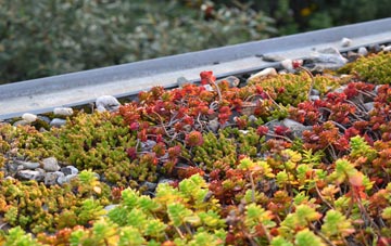 the cost of Scotforth green roof installation