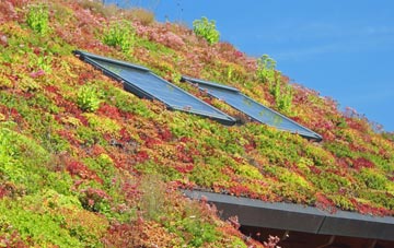 Scotforth living roof systems